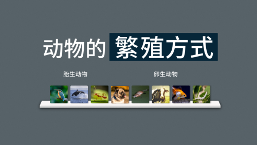 动物繁殖大全7更新啦！新增了哪些动物繁殖方式？