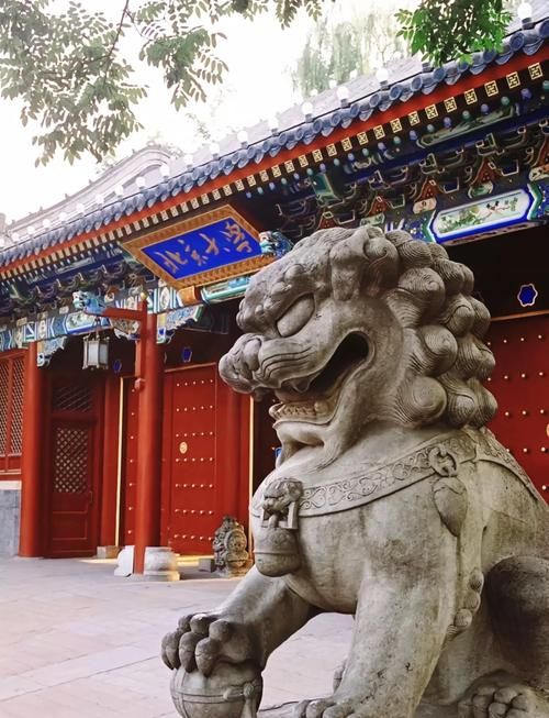 北京大学官网新闻：校园动态、学术前沿全搜罗！