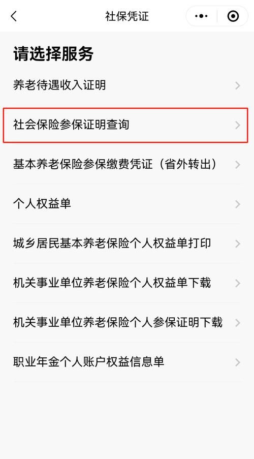 北京社保网上服务平台官网查询指南，个人信息随时查！
