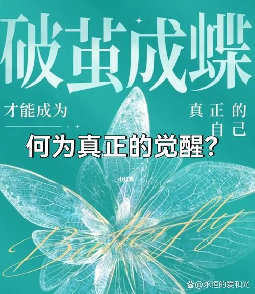 原力觉醒是什么意思？看完这篇文章你就懂了！