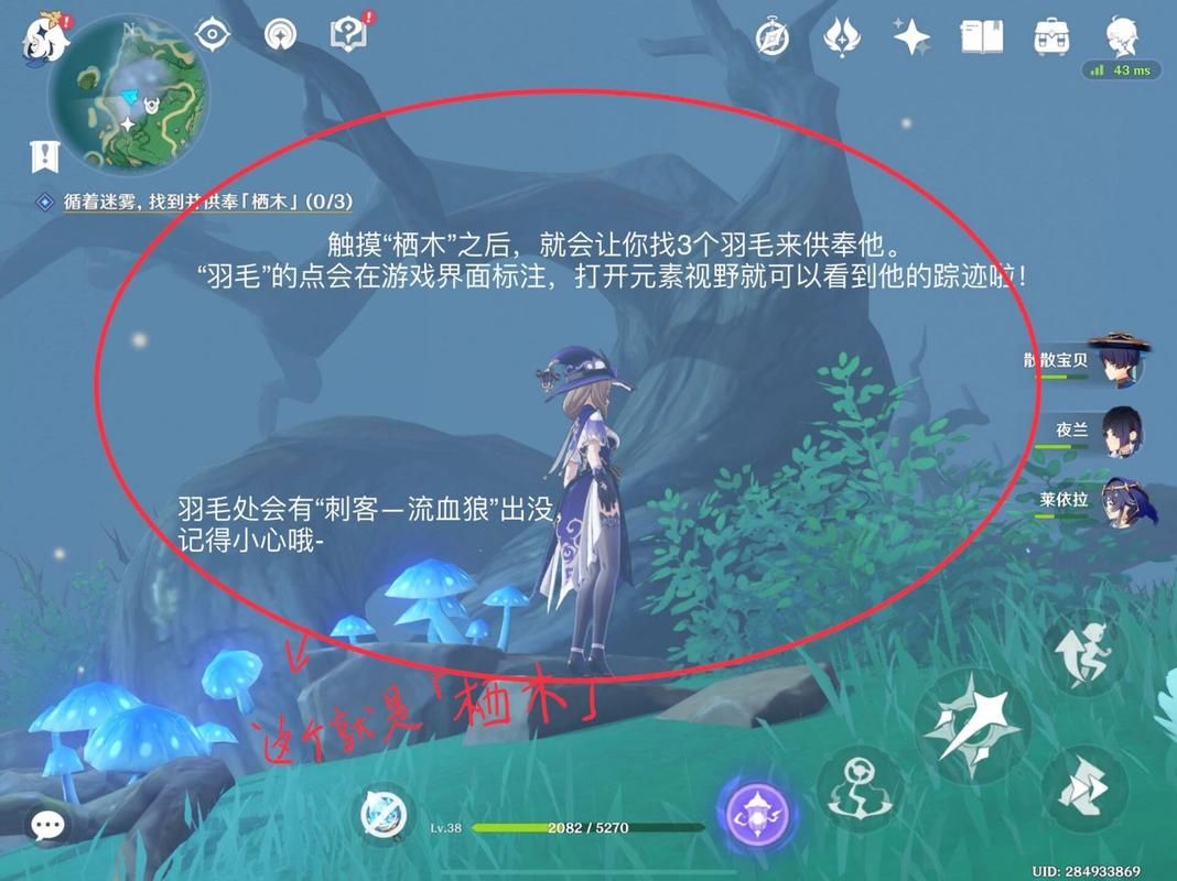 原神供奉栖木怎么开启？新手必看保姆级教程！