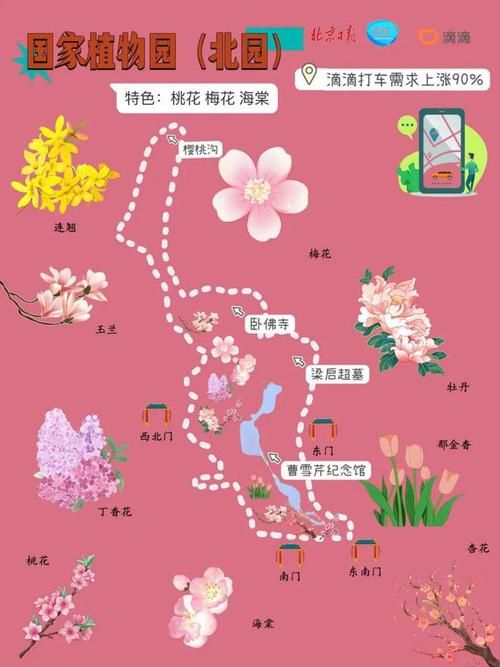 去年花开的地方在哪？详细赏花地点路线攻略！
