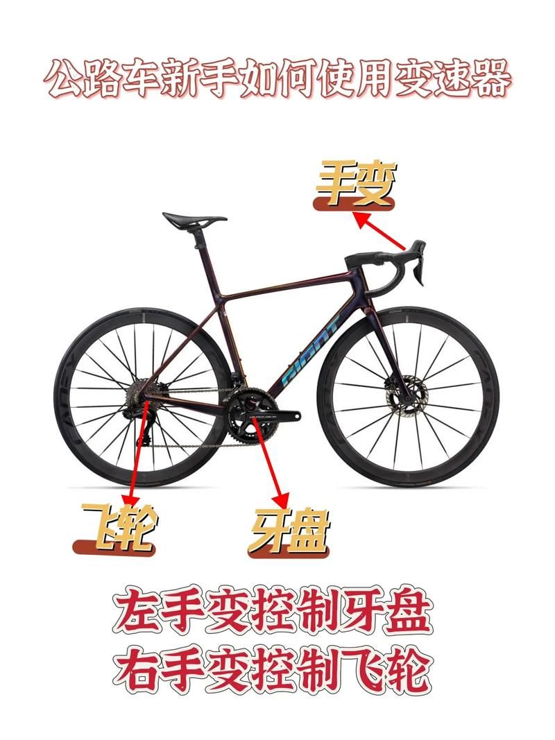 变速器下载怎么操作？手把手教你快速上手！