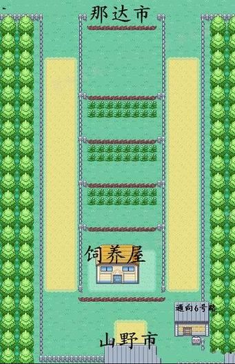 口袋妖怪叶绿隐藏要素有哪些？全方位攻略解读！