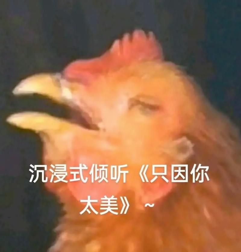 只因你太美歌词太魔性！这首歌到底讲了什么？