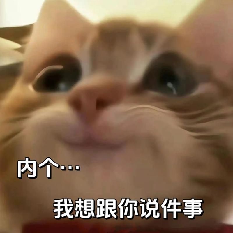 可爱捏是什么梗？这个超火的网络用语你听过吗？