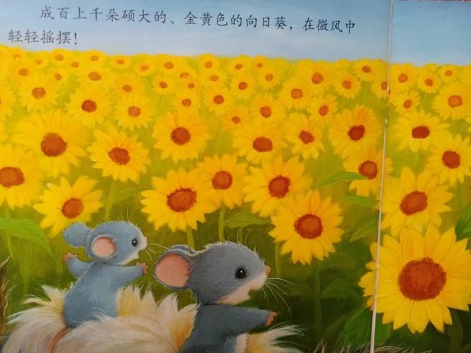 向日葵妈妈怎么赚钱？宝妈经验分享给你！