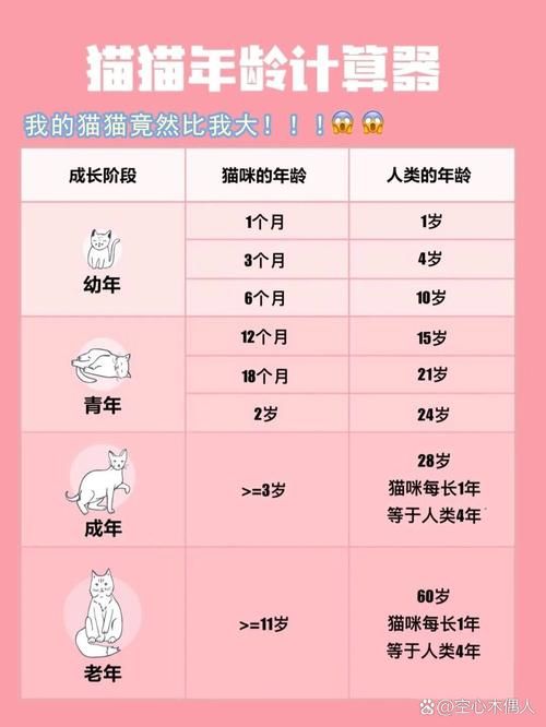 周岁年龄计算器在线版，一键算出宝宝准确年龄！