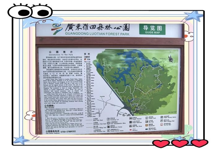 周末去哪儿？晚安森林一日游攻略，快来抄作业！