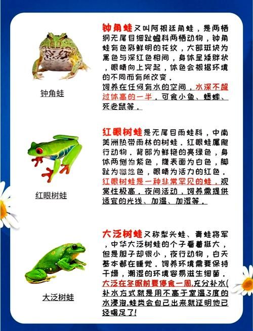呱呱泡蛙性格解析，选对性格，轻松培养！
