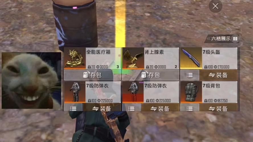 和平精英怎么隐藏头盔？看完这个你就懂了！