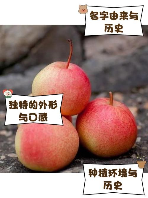 哪个国家和梨的起源无关？这篇文章告诉你答案！