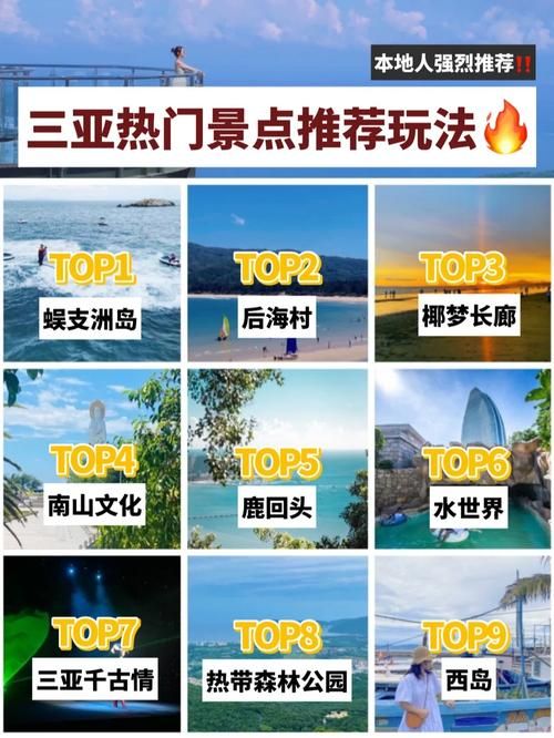 哪种动物语言包好用？热门产品对比让你不踩坑！