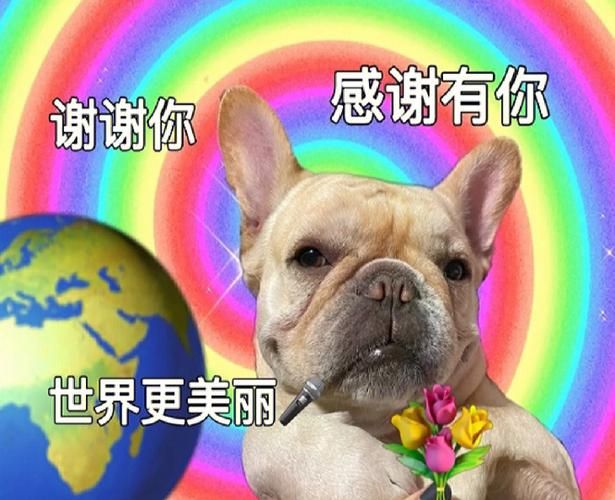 哪里可以听？听我说谢谢你因为有你温暖了四季。