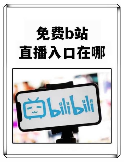 哪里可以看b站直播回放？这几个方法要知道！
