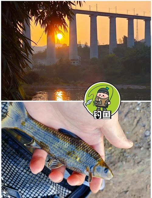 哪里是鱼获鱼的钓鱼点？内行人推荐这些好地方！