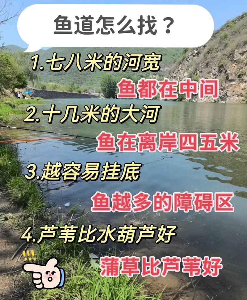 哪里是鱼获鱼的钓鱼点？内行人推荐这些好地方！