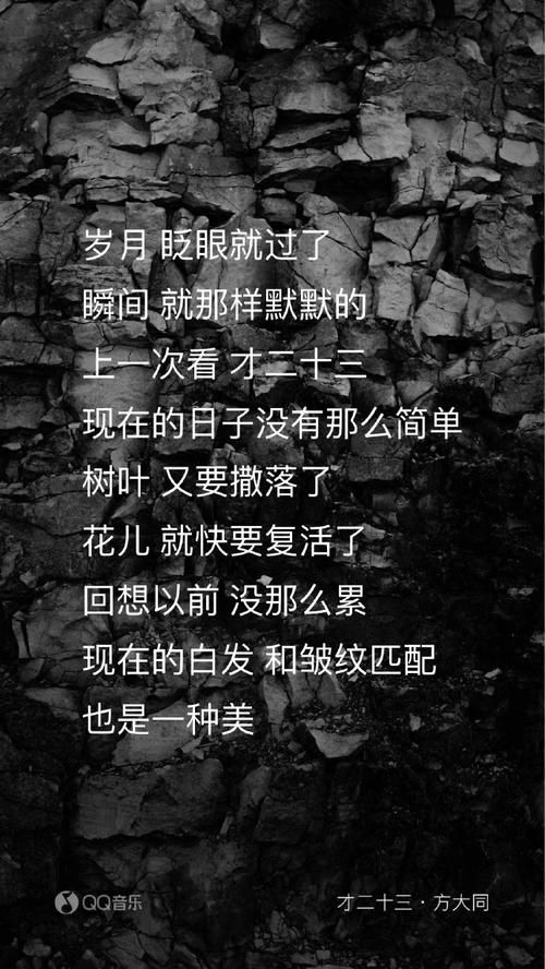 哪首歌里有这句歌词？浪费了最好的年华太扎心
