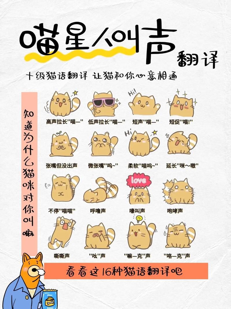 喵桑是什么意思？一篇文章带你了解这个爱称！