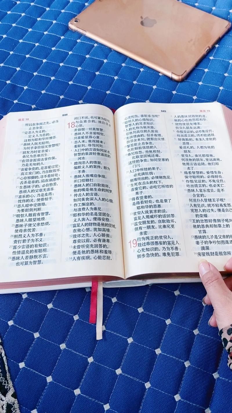 圣经和合本多少钱一本？这几种版本价格不一样！