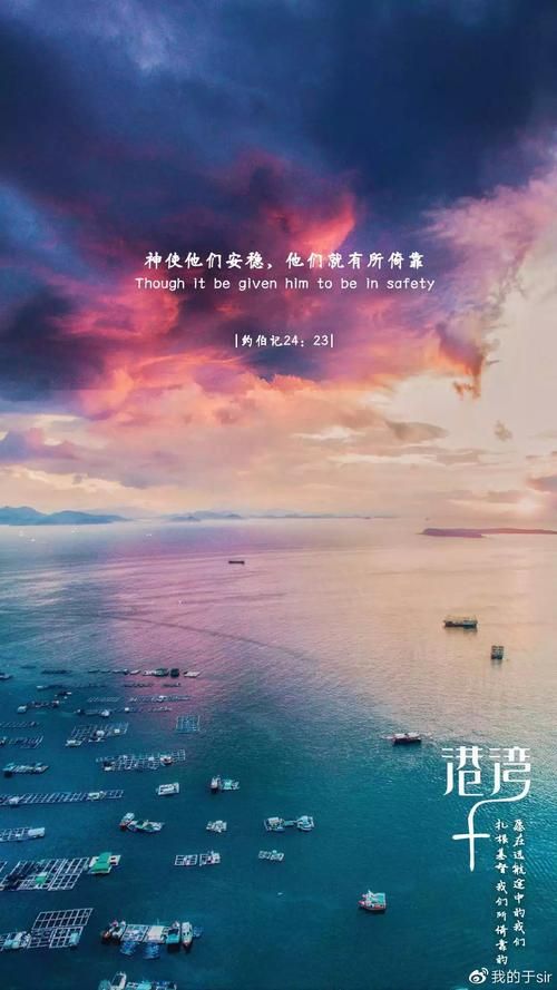圣经手机版免费下载，这几个版本比较受欢迎！