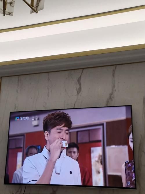 埋堆堆TV版叫什么？手把手教你在电视上安装！