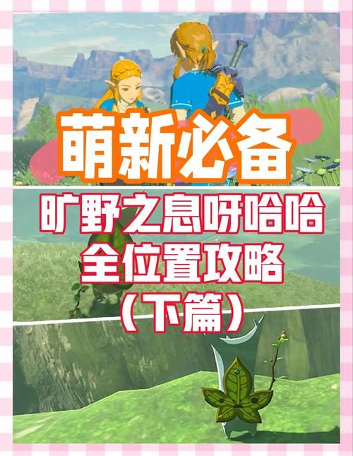 塞尔达传说荒野之息2最新消息！发售日期和价格公布！