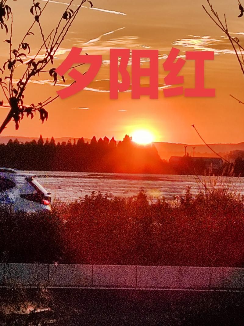夕阳红是什么意思？带你了解老年人的精神世界！