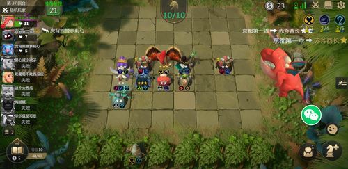多多自走棋官网是什么？游戏玩法和特色全面介绍！