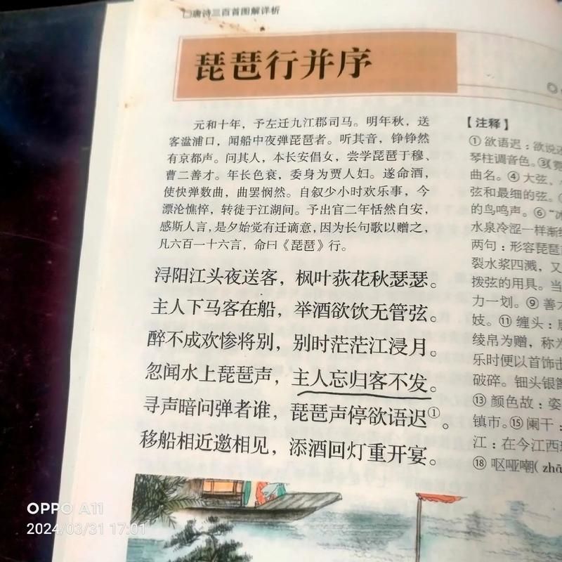 大弦嘈嘈如急雨的赏析，诗词专家竟然是这样解读的。