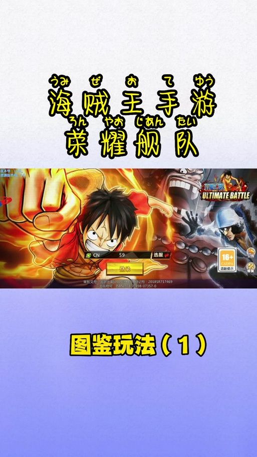 大海贼探险物语无限金币？教你快速刷金币技巧！