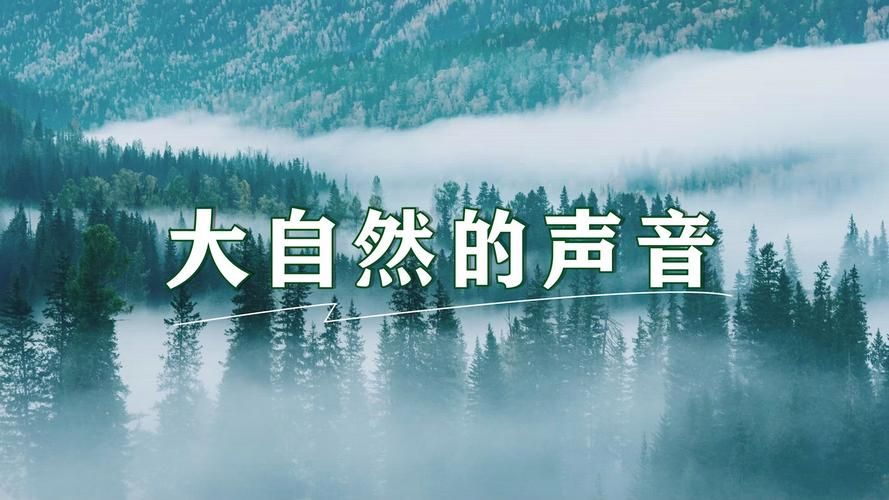 大自然的声音有啥不一样？听听这些声音就明白！
