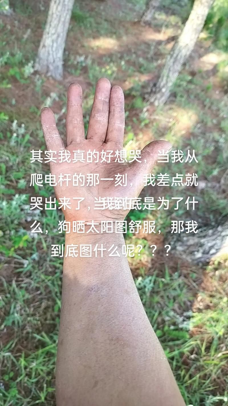 太阳出来我爬电杆要注意啥？这些危险要知道！