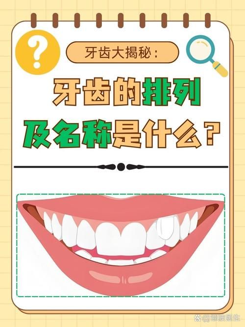奇异的牙齿大揭秘！盘点那些超乎想象的牙齿！