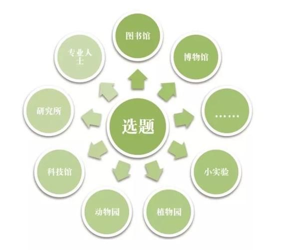 女王的荣耀通关秘籍，高玩分享实用攻略心得！
