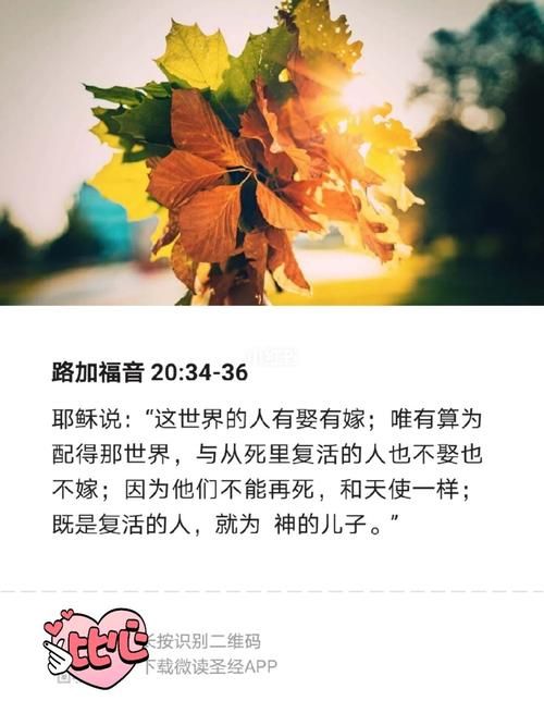 如何解读古圣的密码？这本书到底神不神？