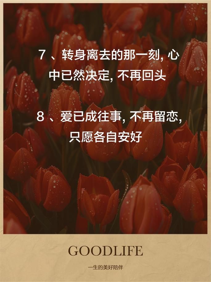 如何走出情伤？你说把爱渐渐放下会走更远这句话值得深思！