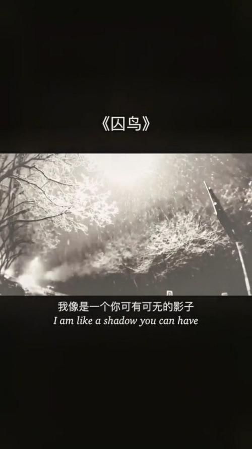 如此迷恋如此放肆为哪般？这几个点说透背后原因！