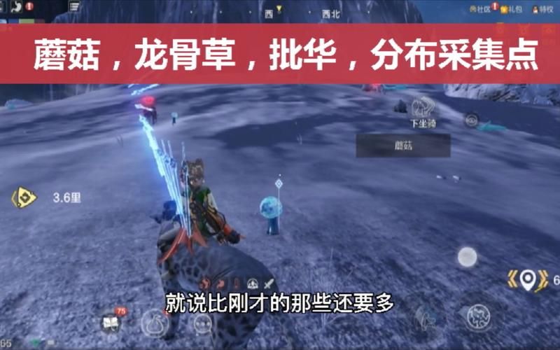 妄想山海蘑菇在哪采集？新手快速找蘑菇攻略！