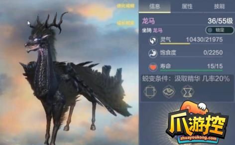 妄想山海龙马进化图鉴，不同阶段技能属性详解！