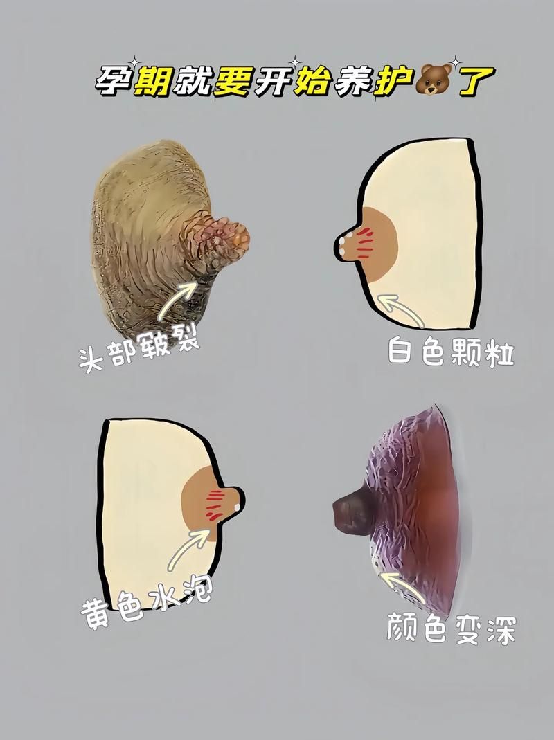 妈头是什么意思？看完这篇你就懂了！