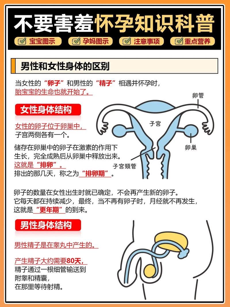 娜娜假期自由模式怎么怀孕？手把手保姆级教程！