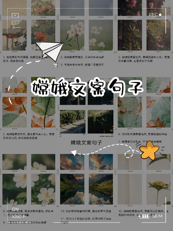 嫦娥台词有哪些？游戏中那些经典语录盘点！