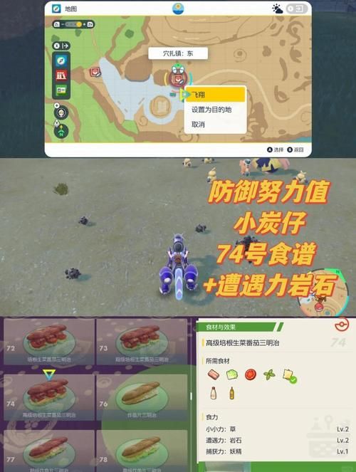 宝可梦培养攻略：先刷努力值还是先升级？