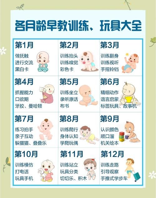 宝宝斗场怎么玩？新手爸妈必看攻略！
