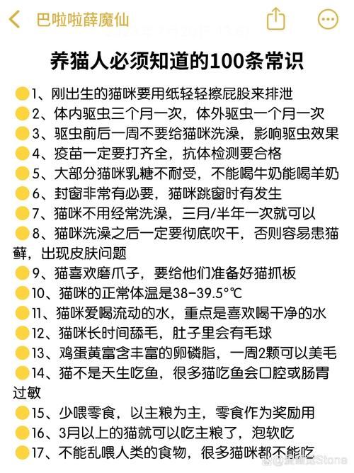 家喵二三事大揭秘！这些猫咪行为你真的懂吗？