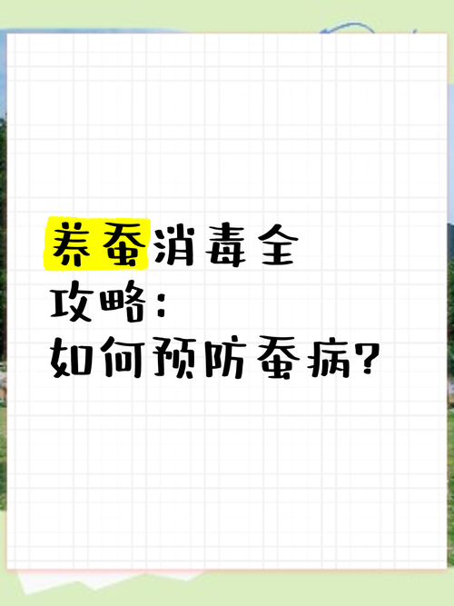 家里养蚕要注意什么？这些危害要知道避免中招！