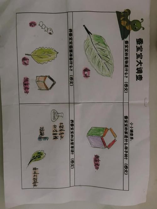 家里养蚕要注意什么？这些危害要知道避免中招！