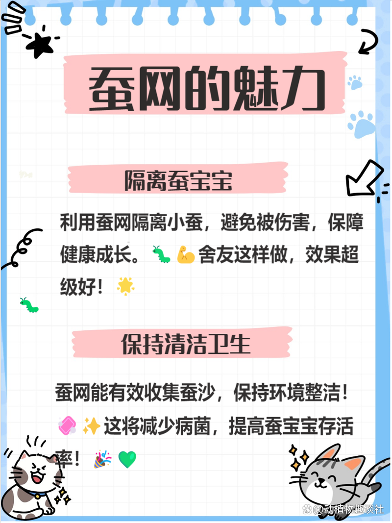 家里养蚕要注意什么？这些危害要知道避免中招！
