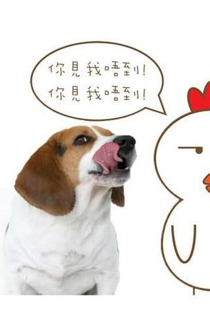 小学鸡是什么意思？小学生听了都说太真实了！